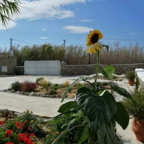 Desire Mykonos Apartman *